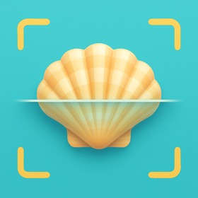 Sea Shell Identifier: Ocelexia