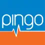 Pingo Analisi Internet