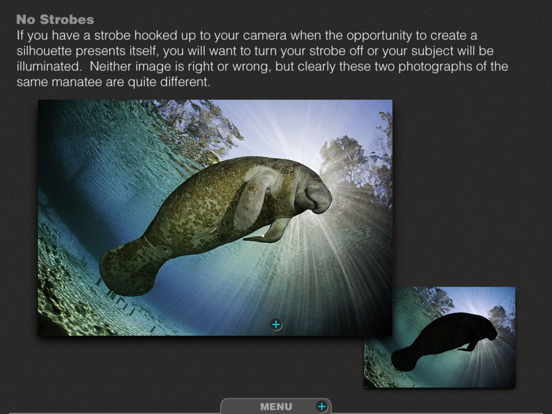 Silhouettes Underwater iPad screenshot 4 - Photo & Video app