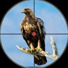 Desert Bird Sniper: Wild Hunt icon
