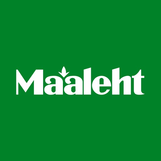 Maaleht