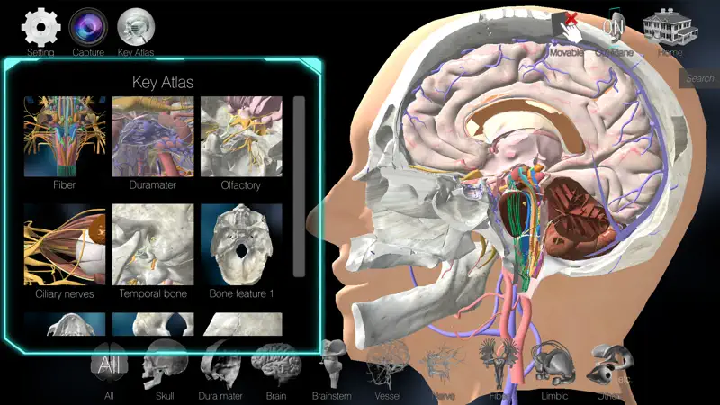 3D解剖学アトラス：iRis screenshot 5 of 5
