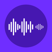 Voice Recorder'