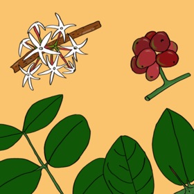 螢幕擷取畫面 (4) The Tree Seasons