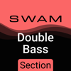 SWAM Double Bass Section - Audio Modeling