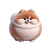 Fat Pomeranian Stickers App Icon