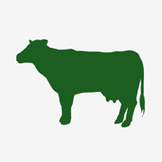 Lakeview Farm Store