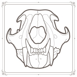 AlaskanInk : Procreate Tattoo