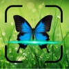 Bug Identifier Insect Scan Fox icon