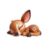 Icon for Sleeping Fawn Stickers - Paul Scott App