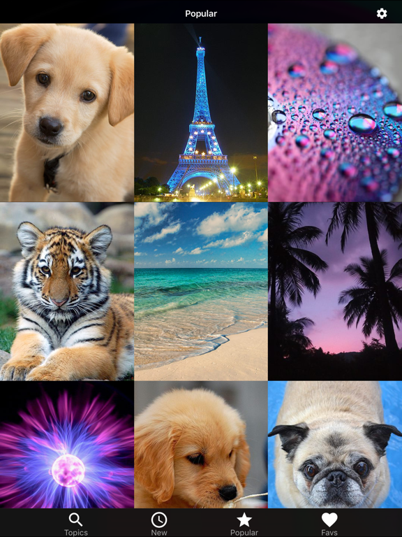 Wallpapers HD for iPhone!