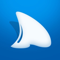Dorsal Shark Reports