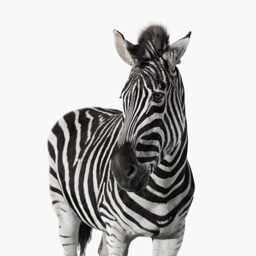 Investec Private Client