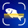 Fish Identifier - Picture Fish icon