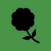 TSH Hangout icon