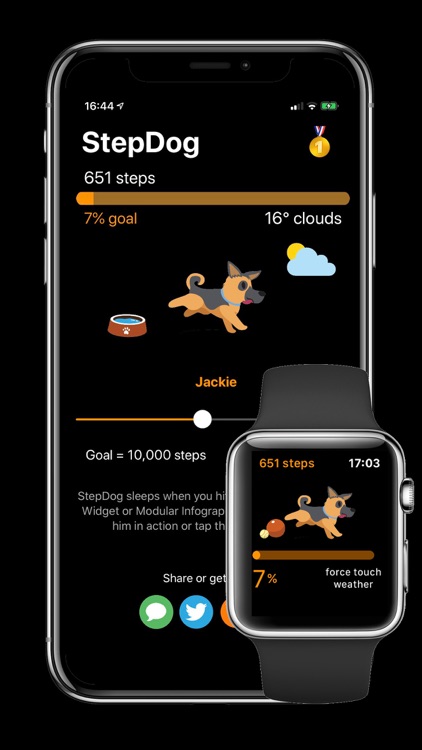 StepDog: Step Counter with Dog
