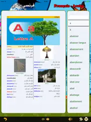 digital french arab dictionary iPad Captures Décran 3