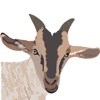 My Goat Manager - Farming app icon