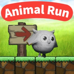 Animal Run ~Let's run owl~
