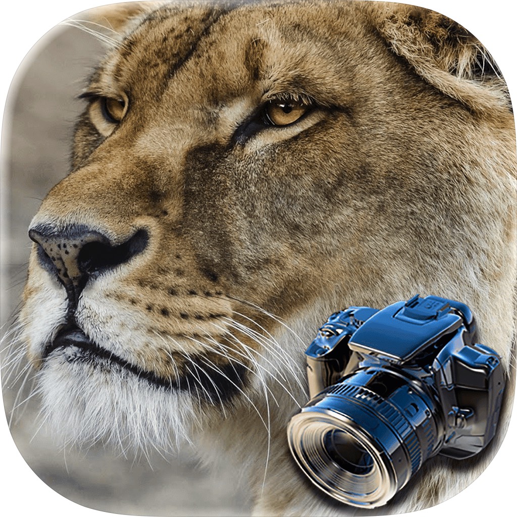 Apple App Store cover for Hidden Animals: Seek and Find