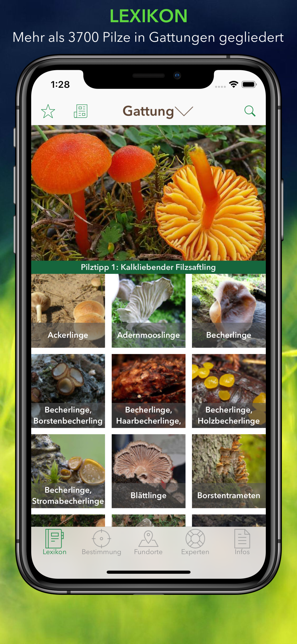 Pilze 123 store screenshot 1