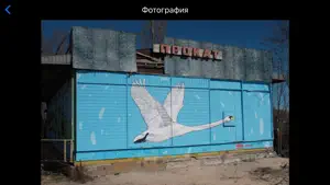 Psh Psh — карта стрит-арта screenshot 2