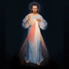 Coronilla Misericordia icon