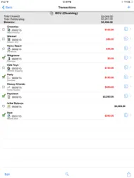 Checkbook - Ledger ipad bilder 1