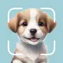 Dog Breed Identifier: Puppy ID