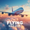 Flying Simulator+ icon