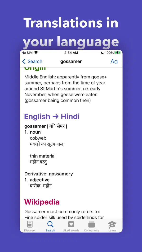 LookUp Dictionary iPhone App Screenshot 6 – Nachschlagewerke