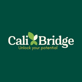 CaliBridge
