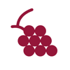 Wino: Identify & Explore Wines - Appylo, Inc.