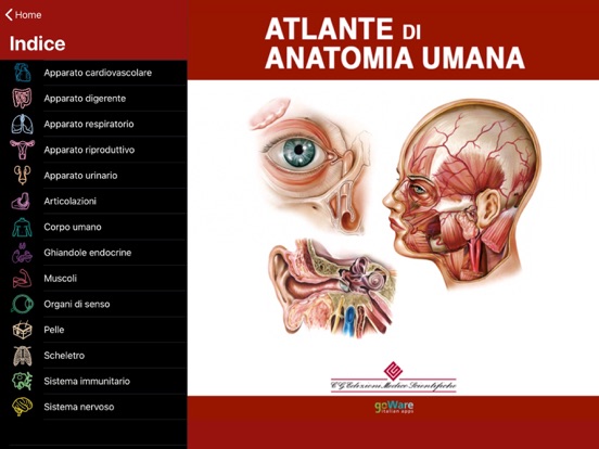 Atlante di Anatomiaのおすすめ画像2