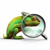 Picture Animal-Nature ID icon