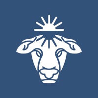 Organised app icon - Lifestyle app for iPhone