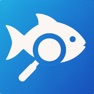 Get Pic Fish - Fish Identifier AI for iOS, iPhone, iPad Aso Report