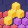Block Puzzle: Hexa Color Blast icon
