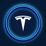 Tesla One App Problems