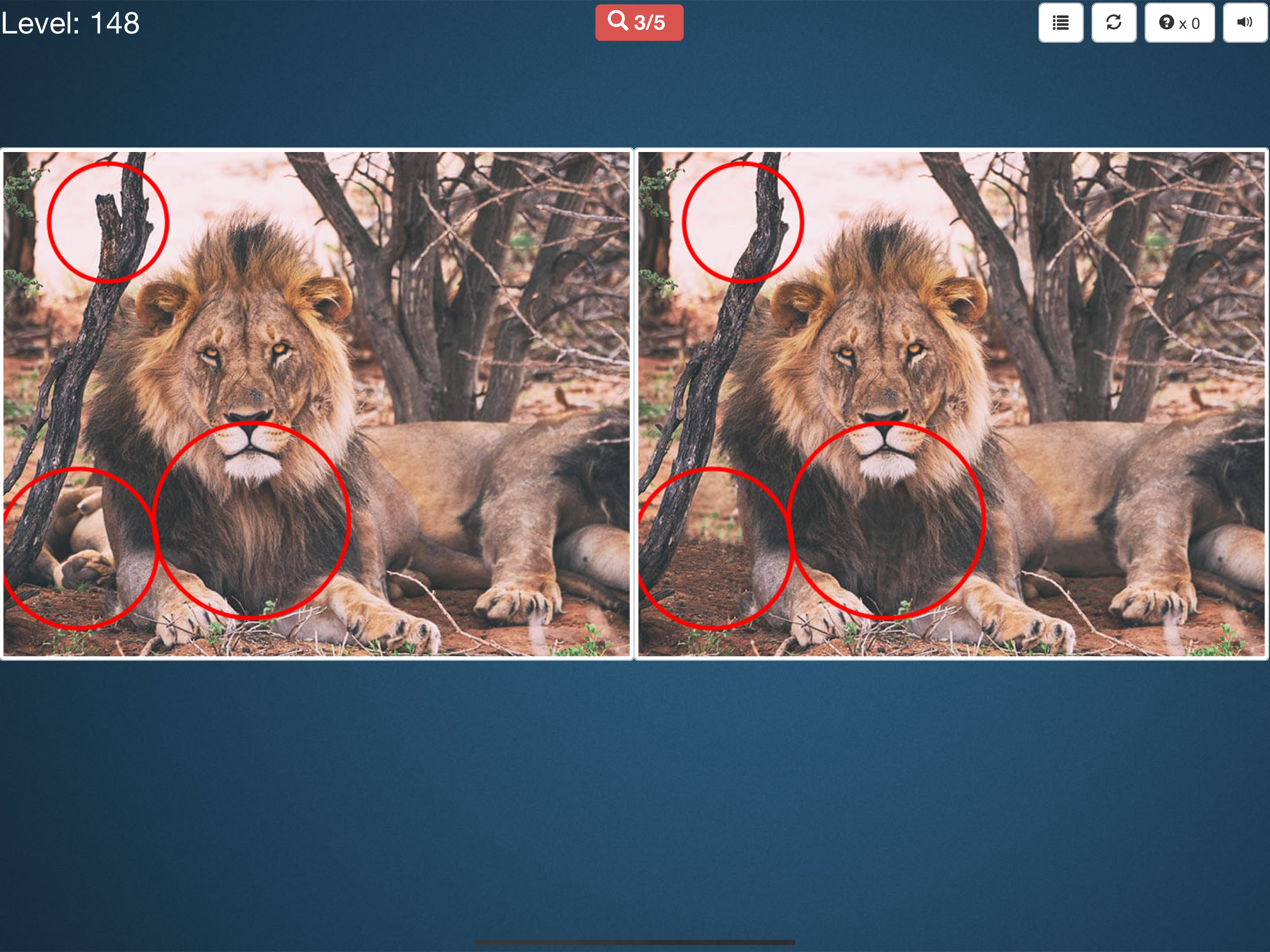 Find Differences *