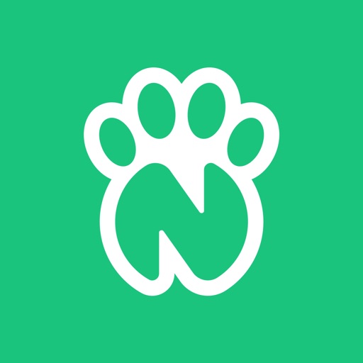 Nazrㅤㅤㅤㅤㅤㅤㅤㅤㅤ