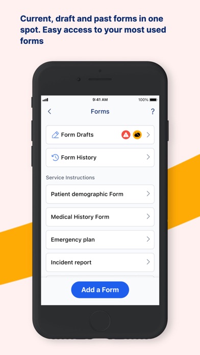 AlayaCare Screenshot