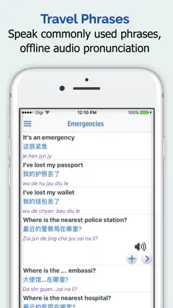 Mandarin Chinese Dictionary + iPhone image 4