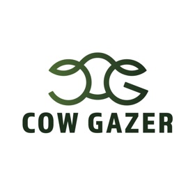 Cow Gazer