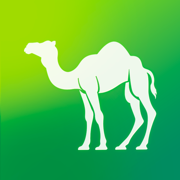 Camel Live