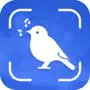 Bird Sound Identifier: Scanner