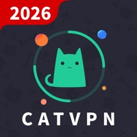 VPN Cat 2026