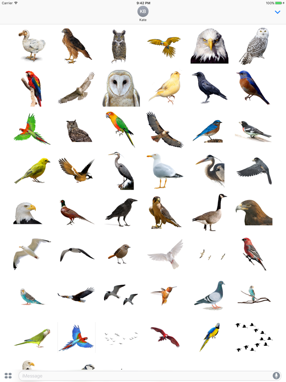 Flock of Birds Stickers iPad screenshot 1 - Stickers app