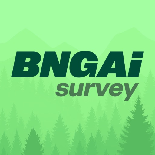 BNGAI Survey