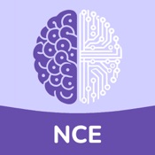 NCE Pocket Study